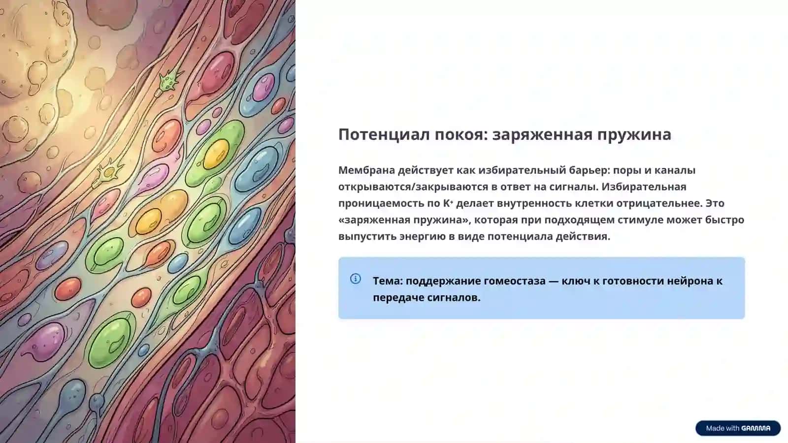 Генерация и передача нервных импульсов: Электричество жизни 4