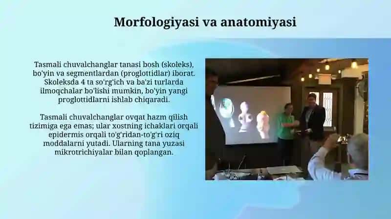 Tasmasimon chuvalchanglar dunyosi va ularning vakillari 4