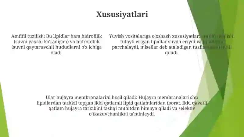Sabunlanmaydigan Lipidlar 4