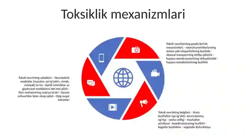 Toksik Nevritlarning Kelib Chiqish Sabablari Va Asoratlari 4
