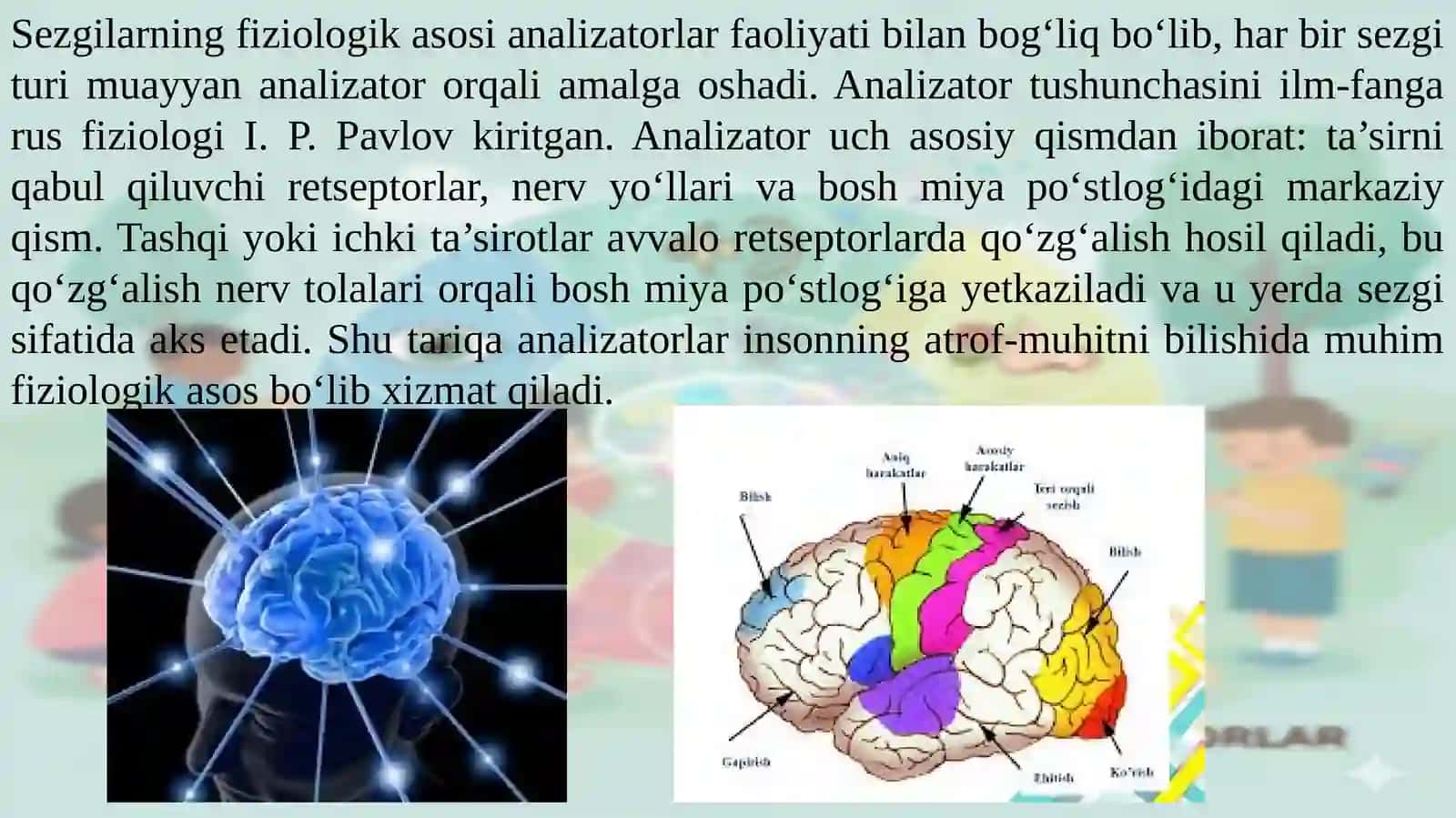 SEZGILAR. SEZGILAR HAQIDA UMUMIY TUSHUNCHA. ANALOZATORLAR. 4