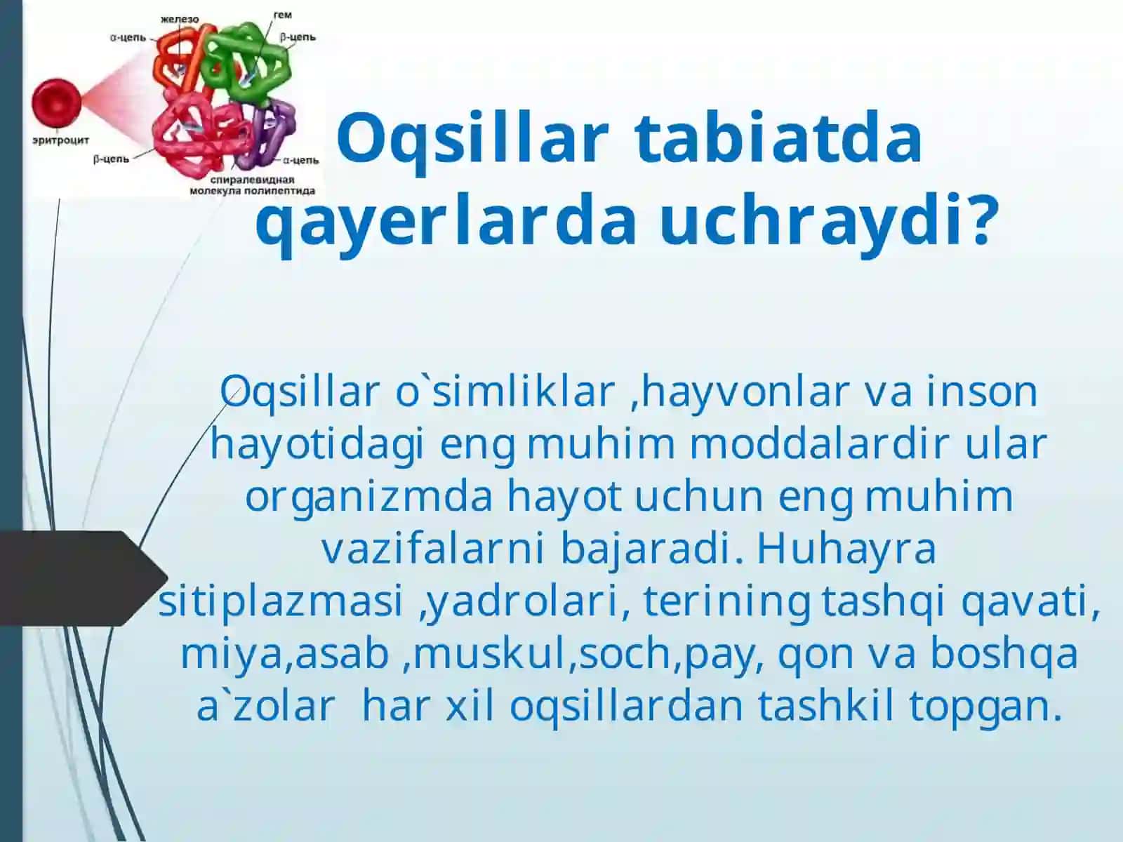 Aminokislota va oqsillar 4