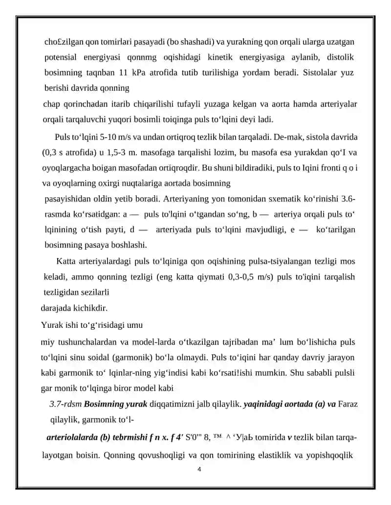 BIOFIZIKA FANIDAN TAYYORLAGAN MUSTAQIL ISHI 4