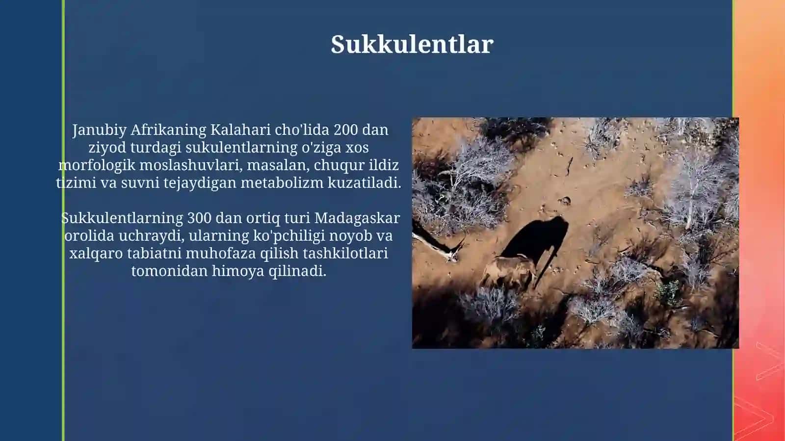 Cho'l. Cho'l hayvonlari va o'simliklari 4