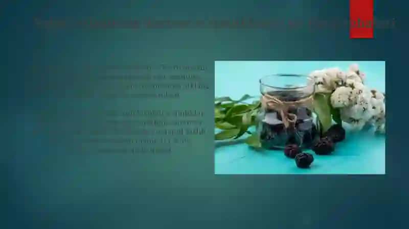 Sigirquyruq oilasining dorivor o'simliklarining farmakologik ta'siri 4