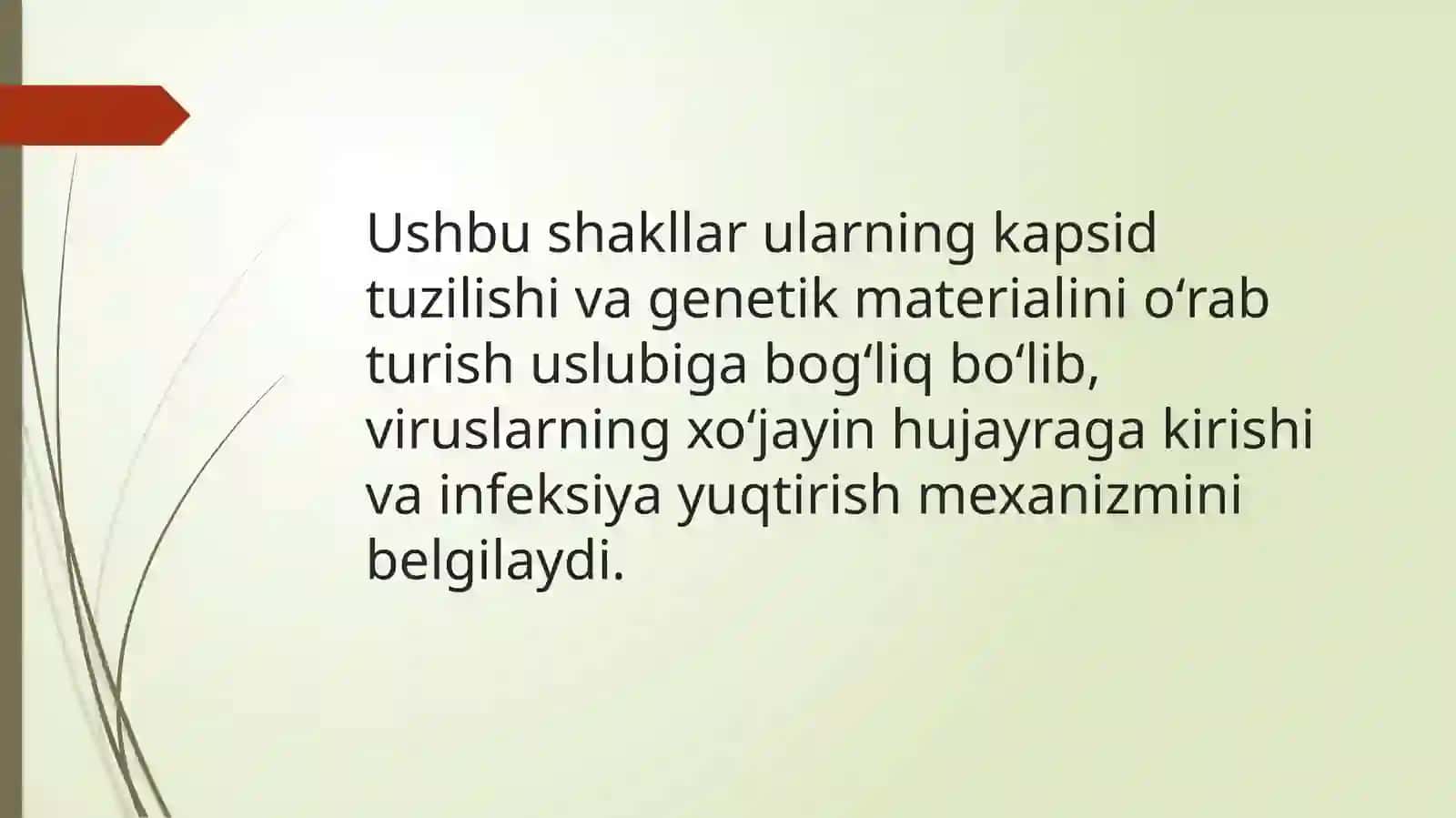 Mikrobiologiya va virsiologiya fanlari 4