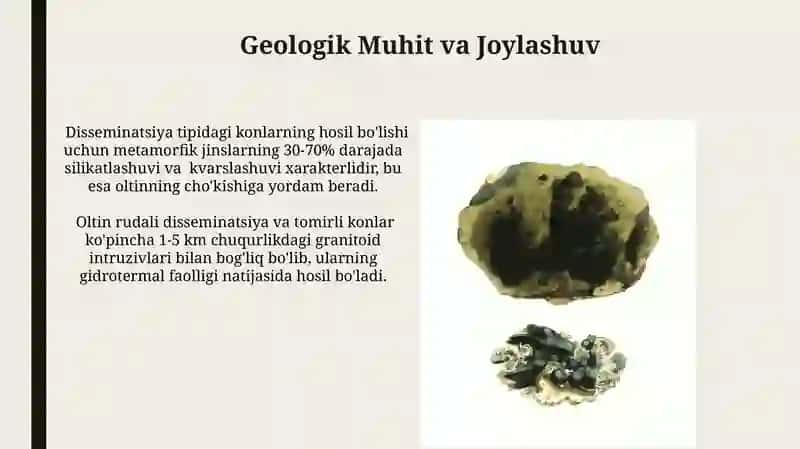 Oltin tarkibli sochma va tomirli kon rudalarining tavsifi 4
