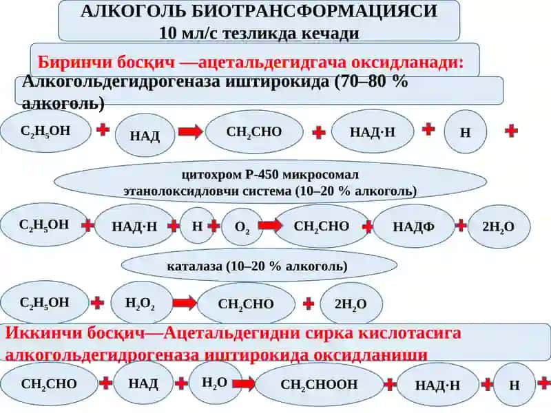 Фармакология ва клиник фармакология 4