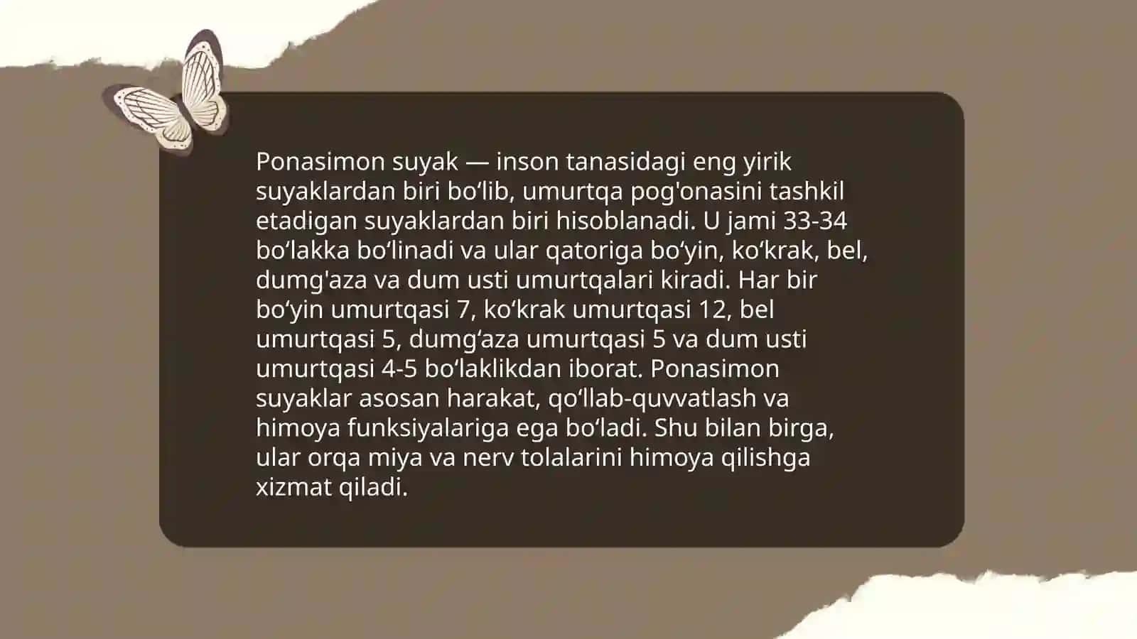 Bosh suyaklari anatomiyasi 4