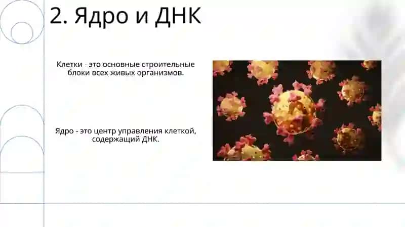 Клетка 4