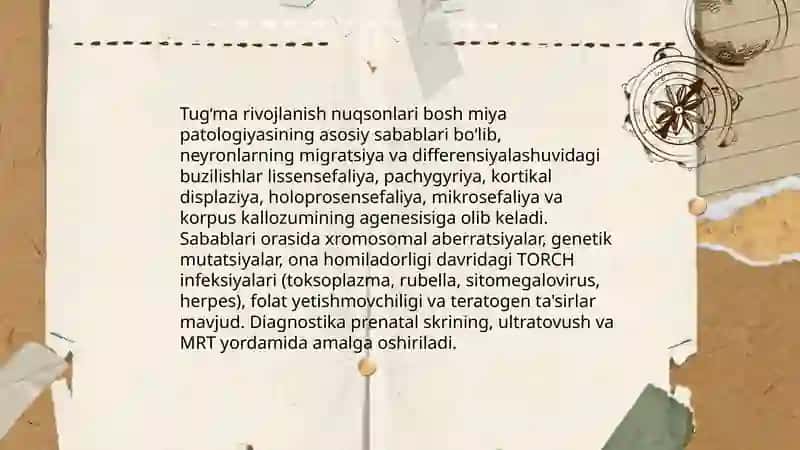 Bosh miya patologiyasining kelib chiqish sabablari 4