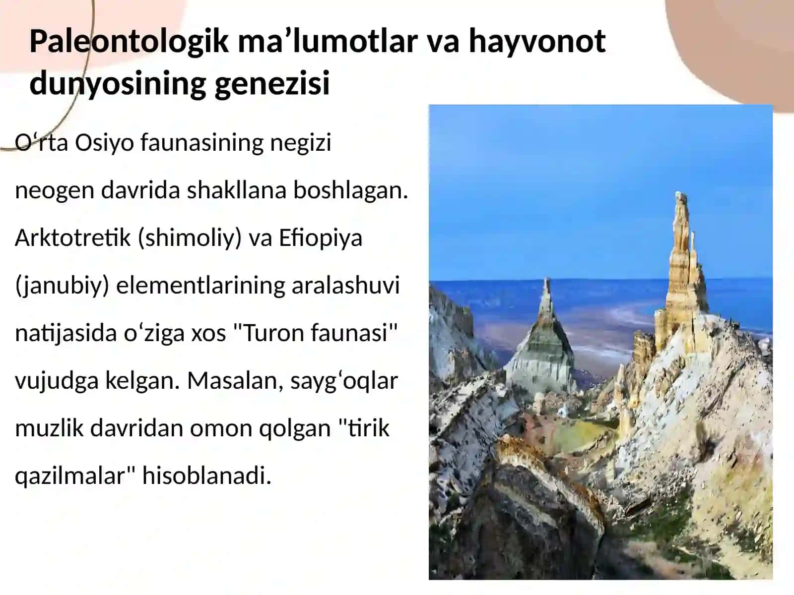 O'rta Osiyo tekisliklari suv havzalari va togʻ hududlarida yashovchi umurtqali hayvonlar 4