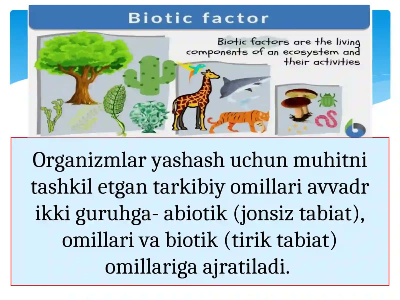 BIOTIK VA ANTROPOGEN OMILLAR 4