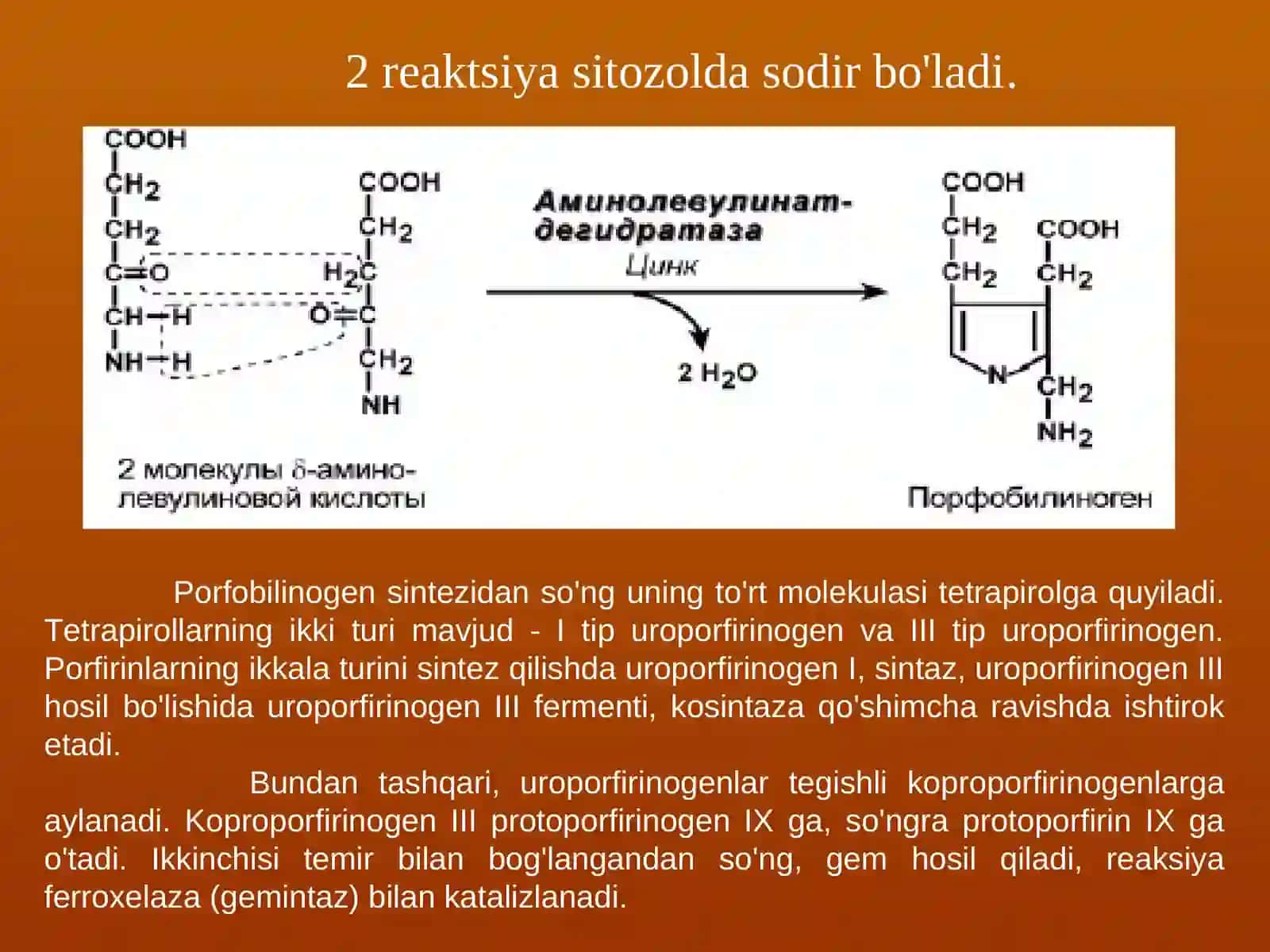 Bioorganik Kimyo - 8-mavzu 4