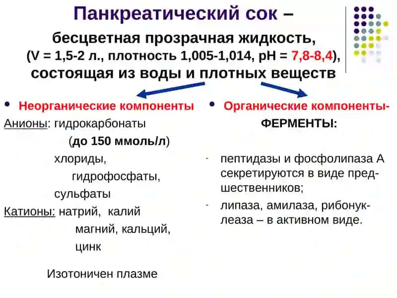 Физиология пищеварения 4