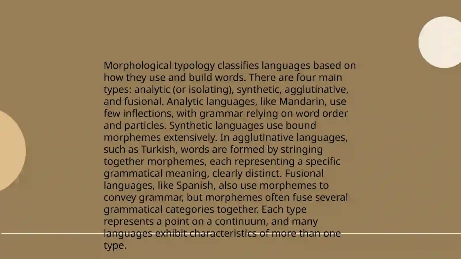 Typology of lexical systems 4