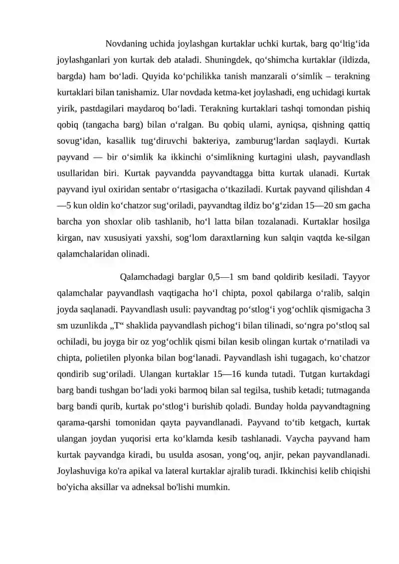 Kurtak va Novda kurs ishi 4