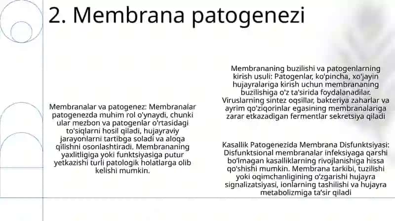 Membranalar Buzilishlarni Patologik Jarayonni Kelib Chiqishidagi OʻRni 4