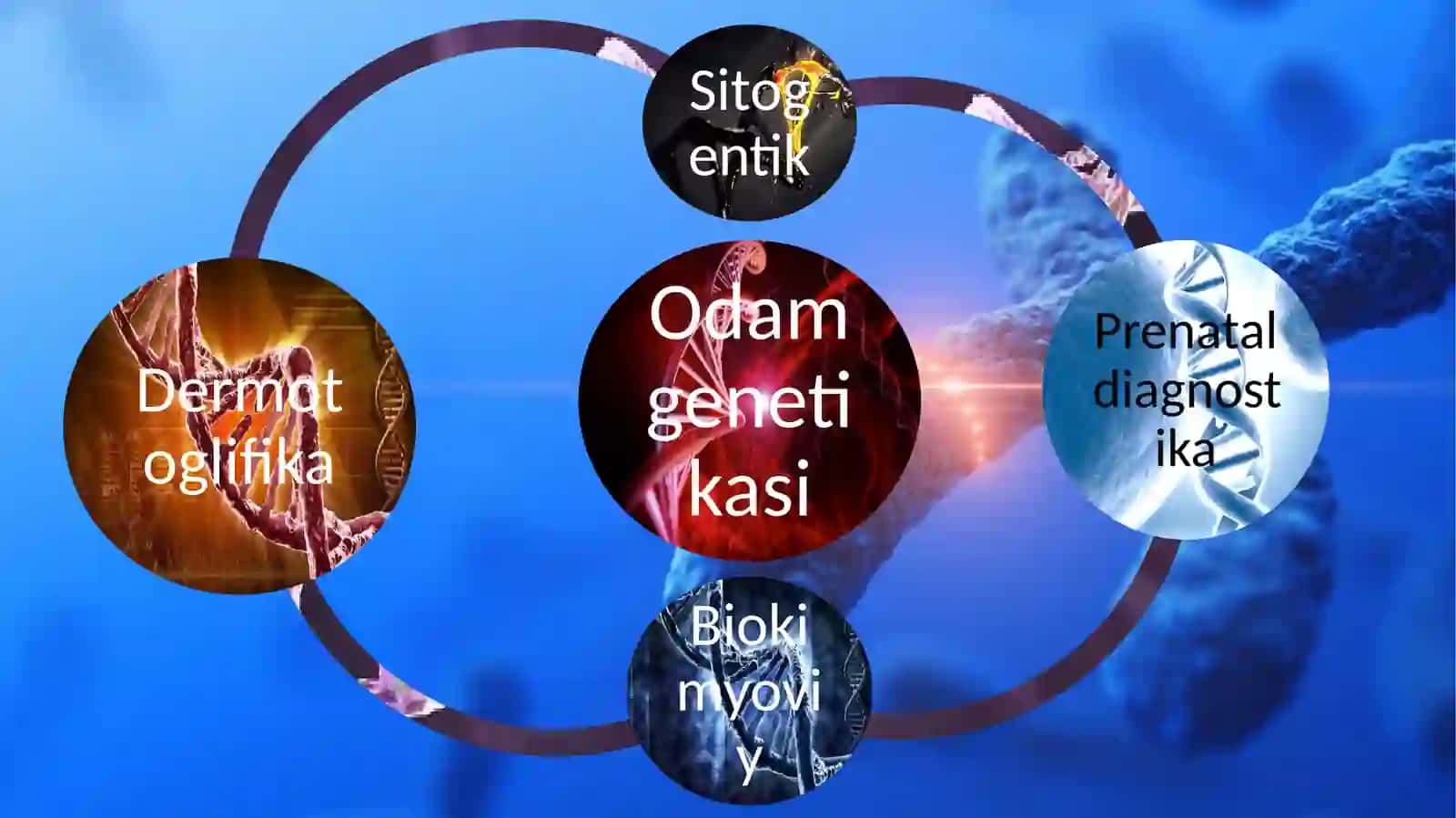 Odam genetikasining o‘rganish usullari: Sitogenetik.  Dermatoglifika.  Biokimyoviy. Prenatal diagnostika 4