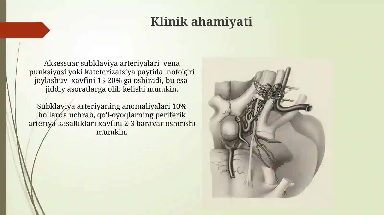 Oʻmrov osti va yelka sohalari arteriyalarining variant anatomiyasi 4