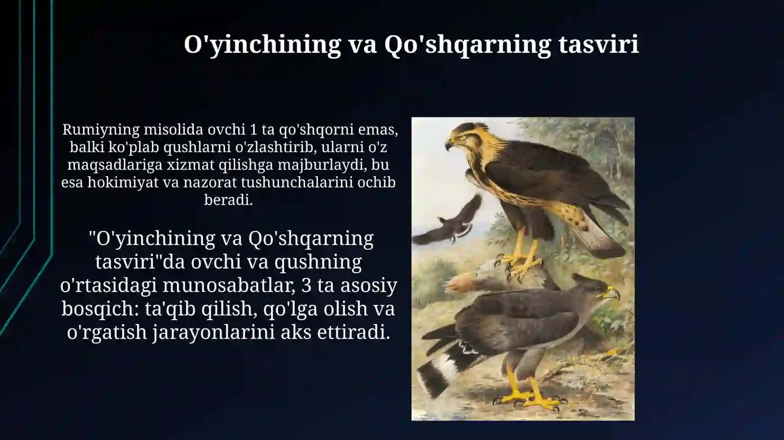 Jaloliddin Rumiy Ovchi valochinasari 4