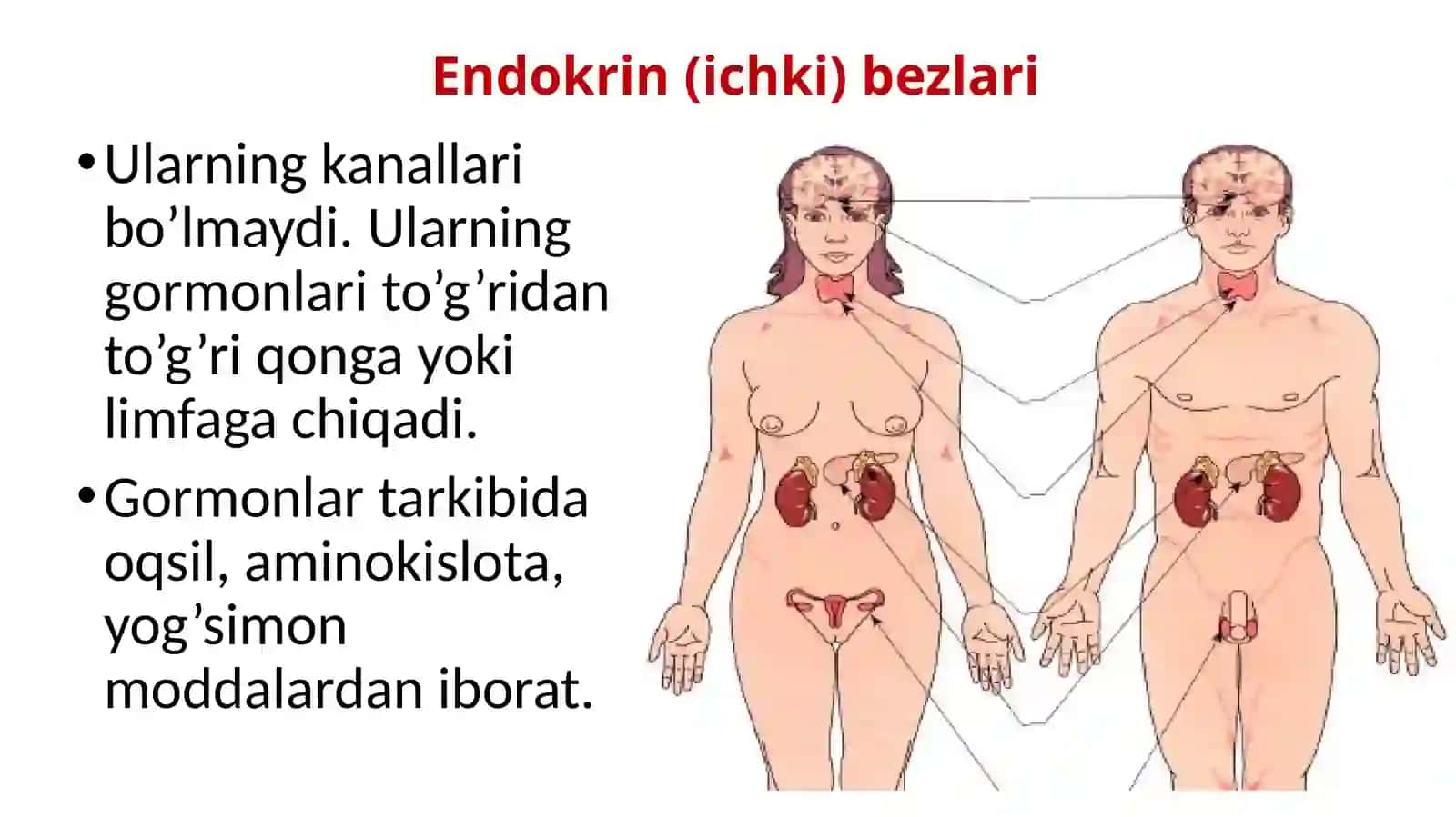 Ichkisekretsiyabezlari 4