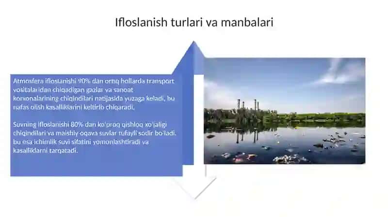 Atrof-muhit ifloslanishining populatsiyaga tasiri 4