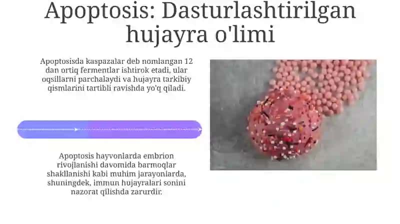 Hujayraning qarishi: Nazariyalar 4