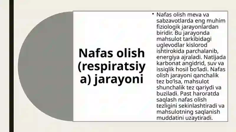 Mevavasabzavotlarnisaqlashdaro’yberadiganfiziologikvamikrobiologikjarayonlar 4