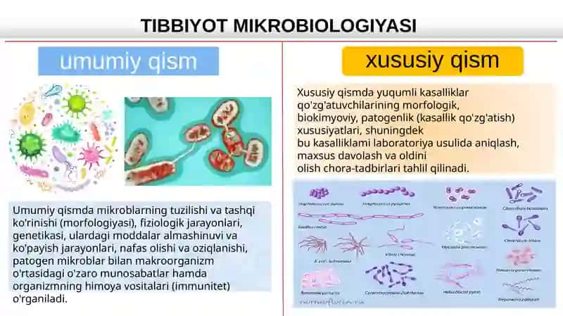 MIKROBIOLOGIYA, VIRUSOLOGIYA, IMMUNOLOGIYA FANLARINING MAQSADI, VAZIFALARI VA RIVOJLANISH TARIXI 4