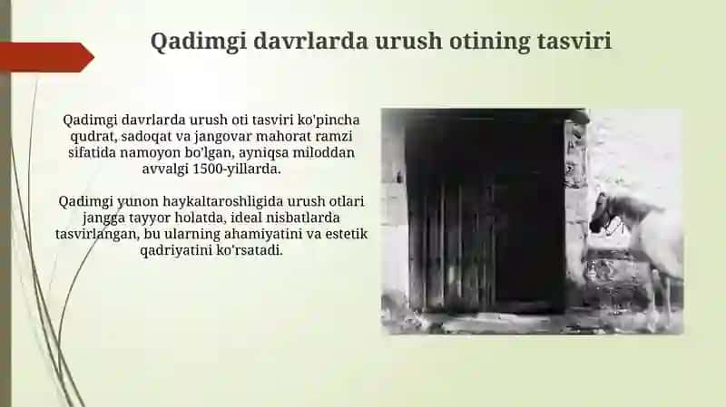 Urush otining tarixiy asoslari 4