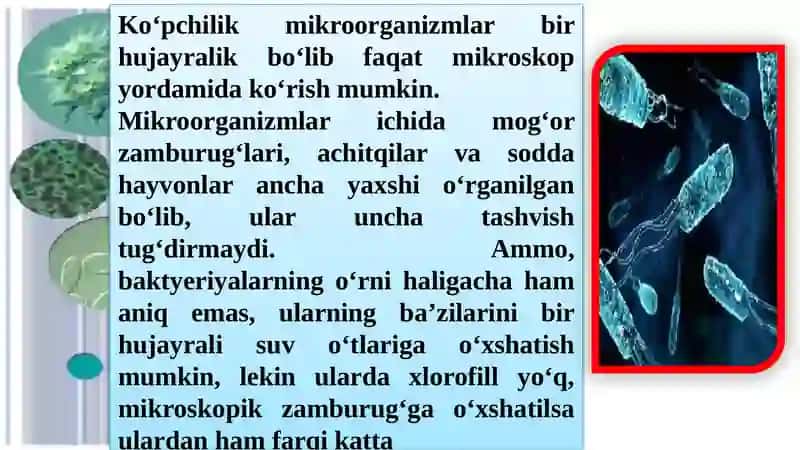 Mikroorganizmlarning ropulyasiyalari 4