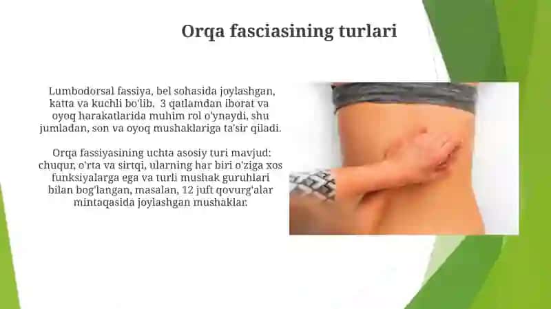 Tananing orqa sohasidagi mushaklar va fatsiyalar 4
