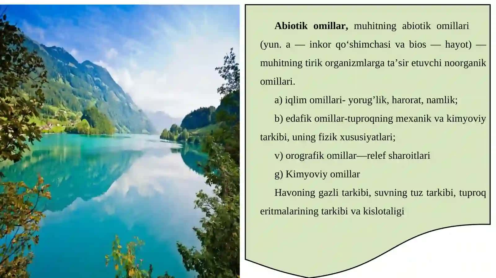 Ko'piklar va ularning agregativ barqarorligi hamda ularga ta'sir etuvchi omillar 4