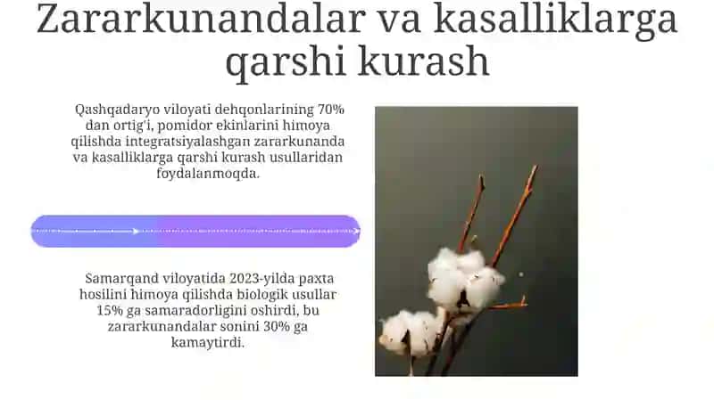 Qisqa muddatli ekinlarni yetishtirishning iqtisodiy jihatlari 4