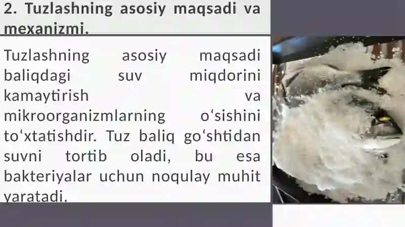 Baliqlarni tuzlash texnologiyasi 4
