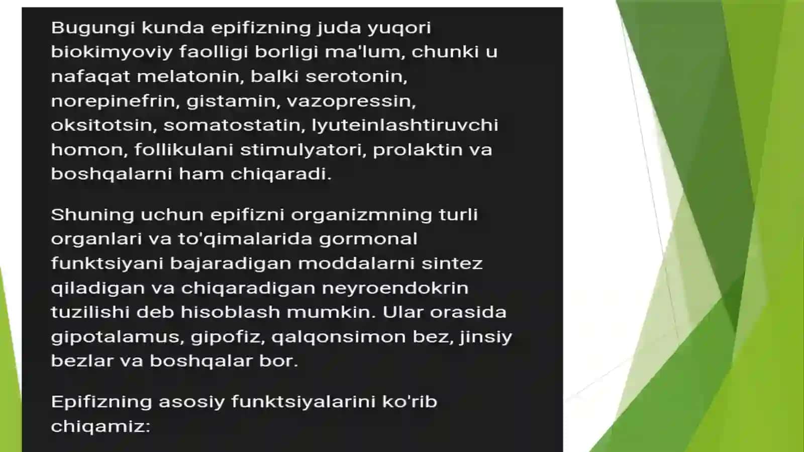 EPIFIZ YOKI GURRASIMON BEZ 4