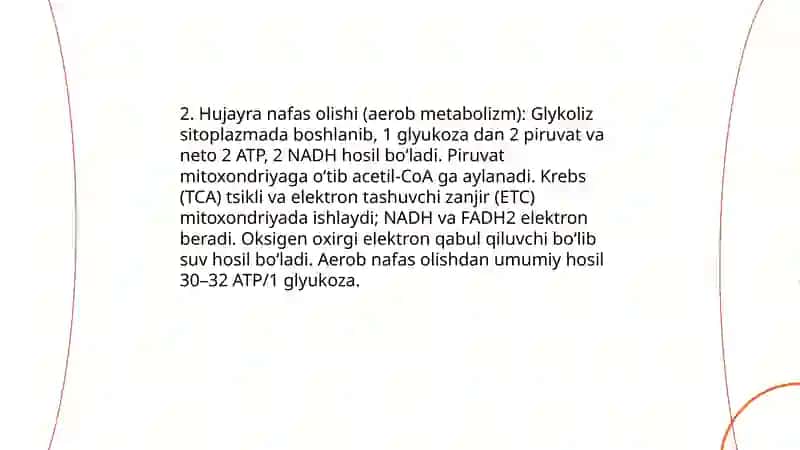 Metabalizm jarayonida energiya hosil boʻlishi va sarflanishi 4