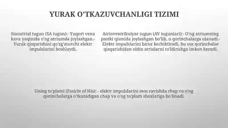 Yurak 4
