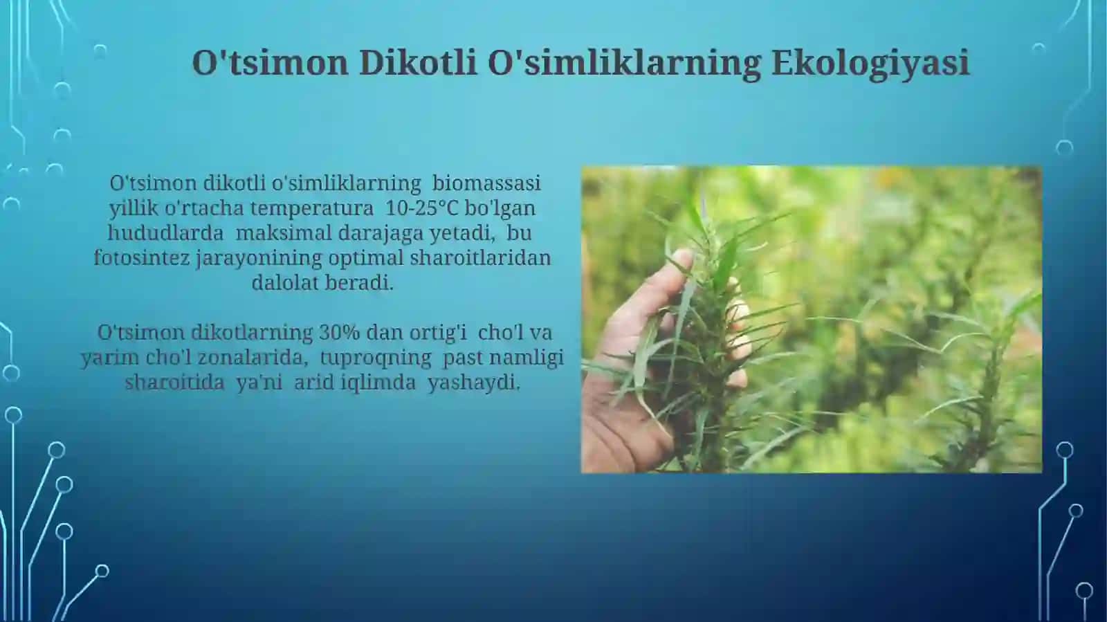 Intradutsentoʻtsimondirivoroʻsimliklarnioʻrganish 4
