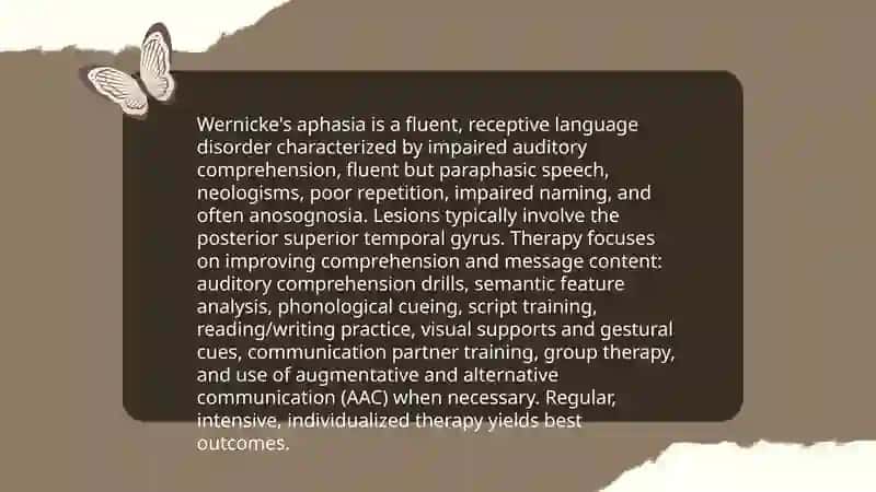 Aphasia (Types and therapy) 4