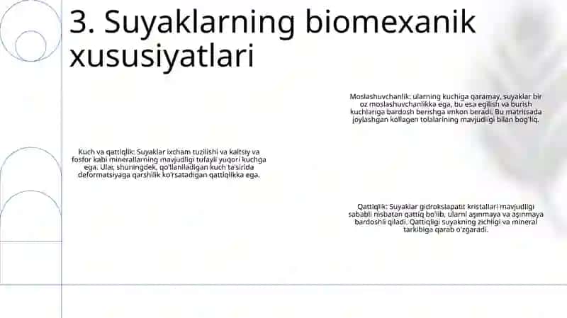 Odam Tayanch-Harakatlanish Apparati Tuzilishining Biomexanik Xususiyatlari 4