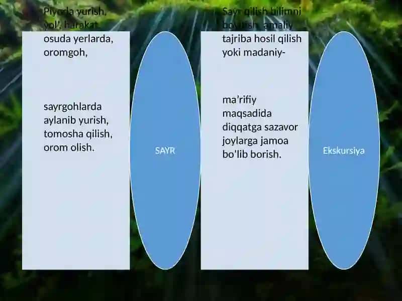SAYR VA UNI O’TKAZISH METODIKASI 4