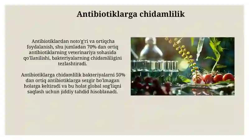 Tabiiy birikmalarning dori sifatida ishlab chiqarilishi (penitsillin, streptomitsin) 4
