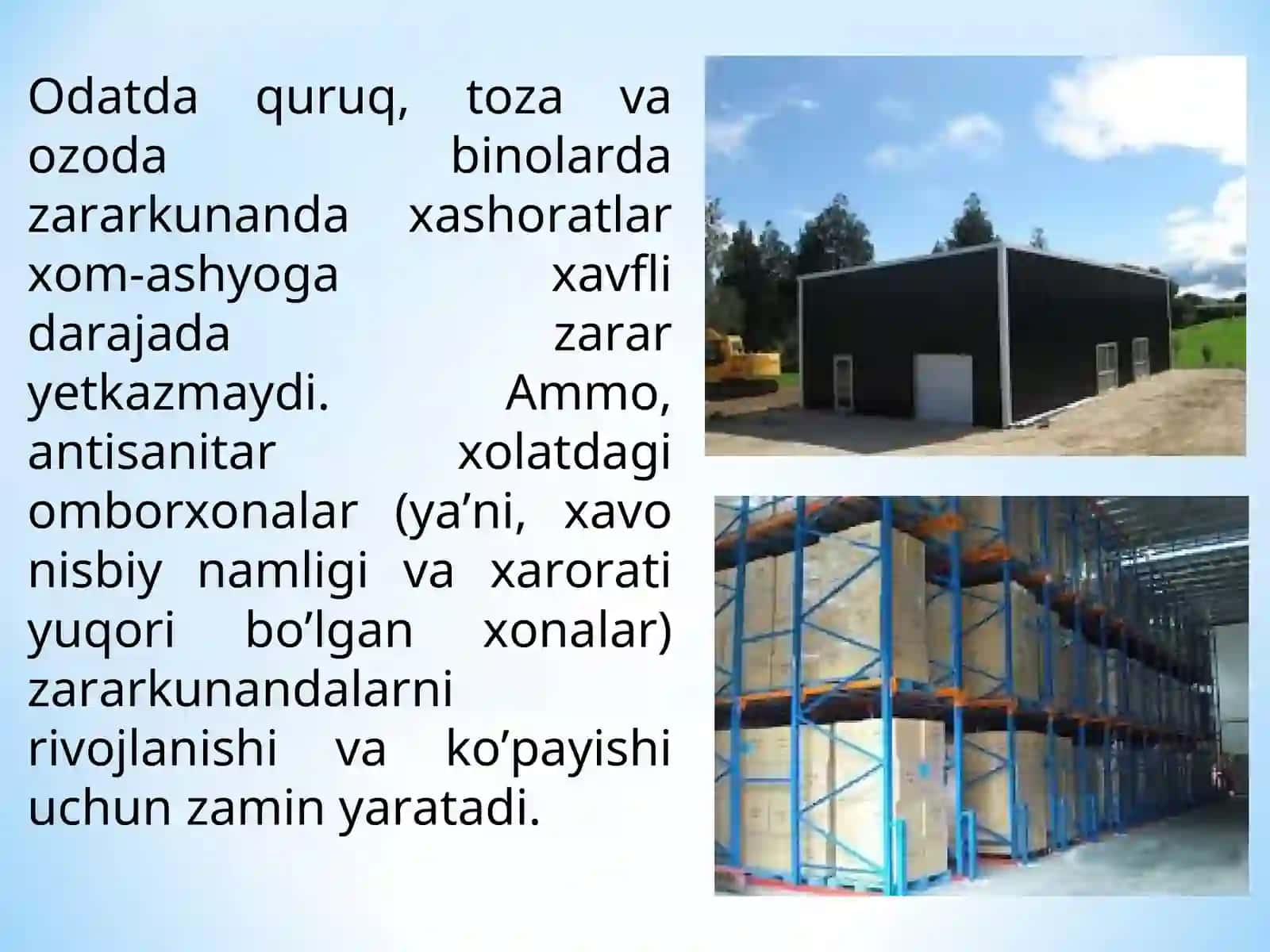 Dorivor xom-ashyo zararkunandalari va ularga qarshi kurash chora tadbirlari 4