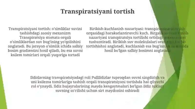 Ösimliklarda Suvni Yuqoriga Kötaruvchi Mexanizmlar 4