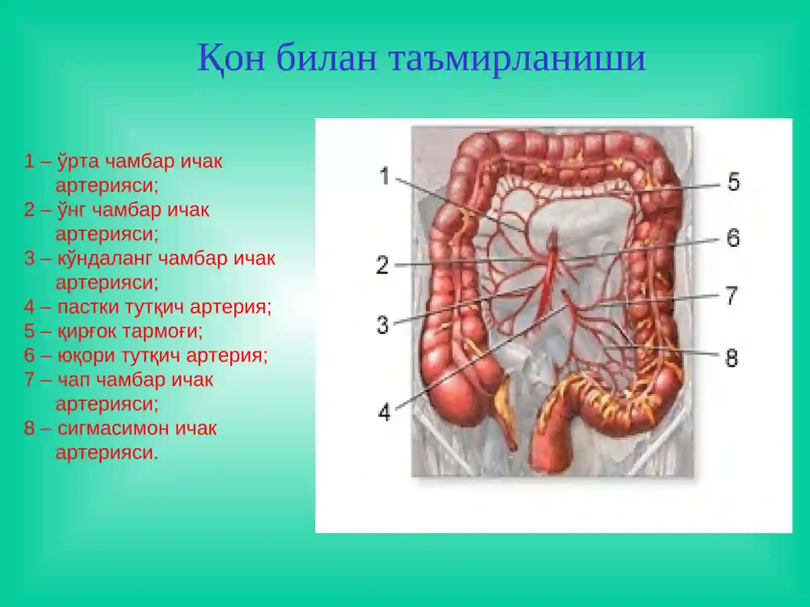 Йўғон ва тўғри ичак хирургик касалликлари 4