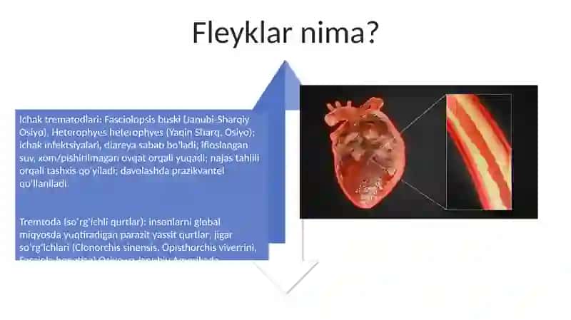 Soʼrgʼichlar odam parazitlari 4