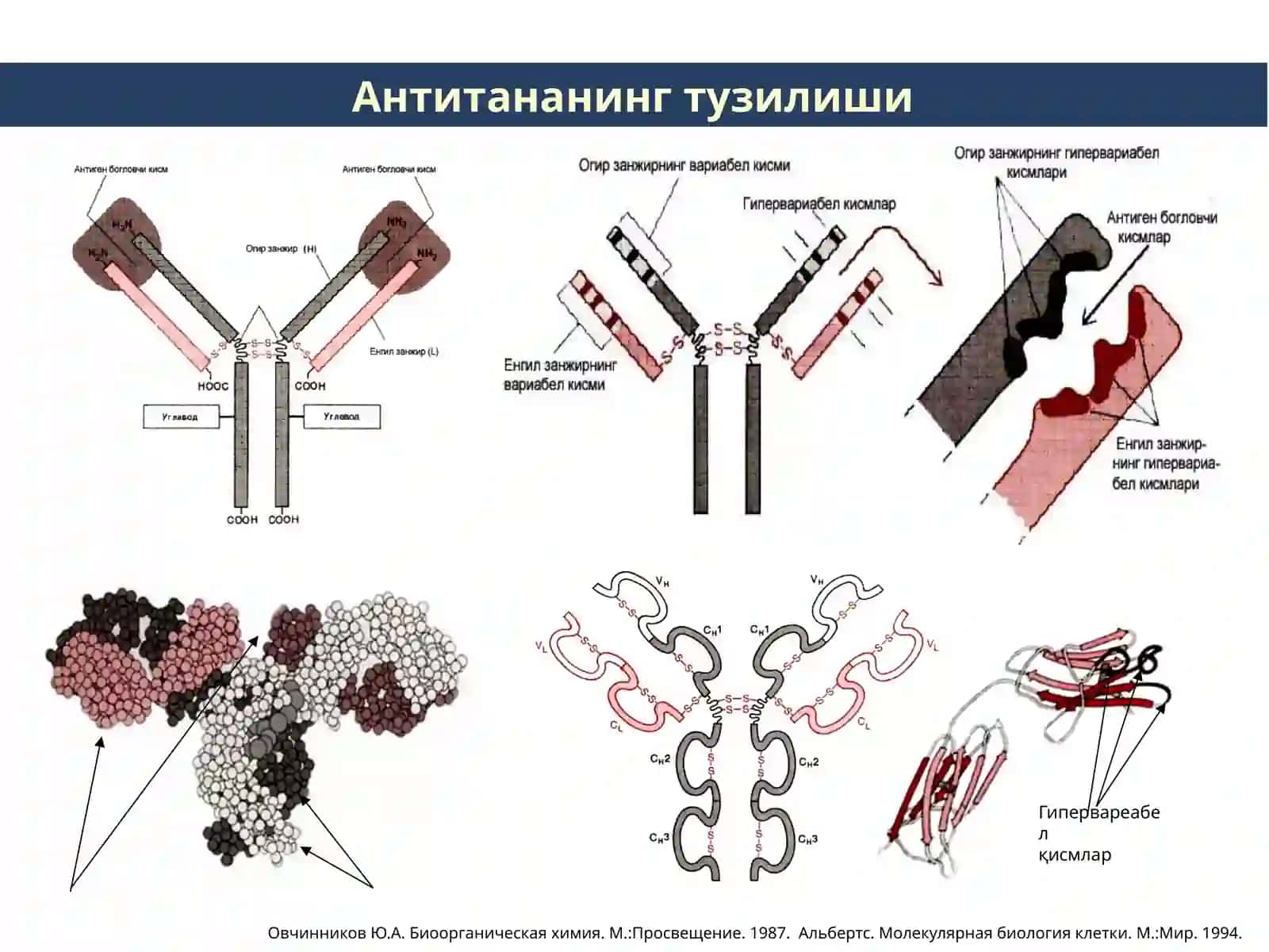 Умумий ва амалий иммунология 4