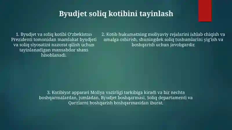 Bujet Soliq Sektori Va Uning Tarkibi 4